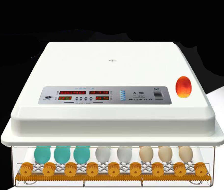 Egg incubator