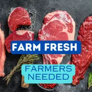 Buy and Sell Fresh Meat on The Farmers Lot