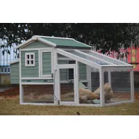 Green and white wooden chicken coop with wire run, ramp, window, and two hens on grass