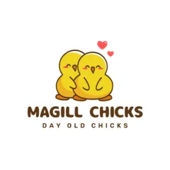 Magill Chicks