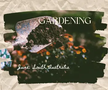 Title page for garening in june showing a spade digging in fertile soil