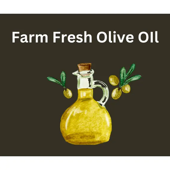 An artists impression of a clear flask of olive oil with a sprig of olive tree behind the flask.