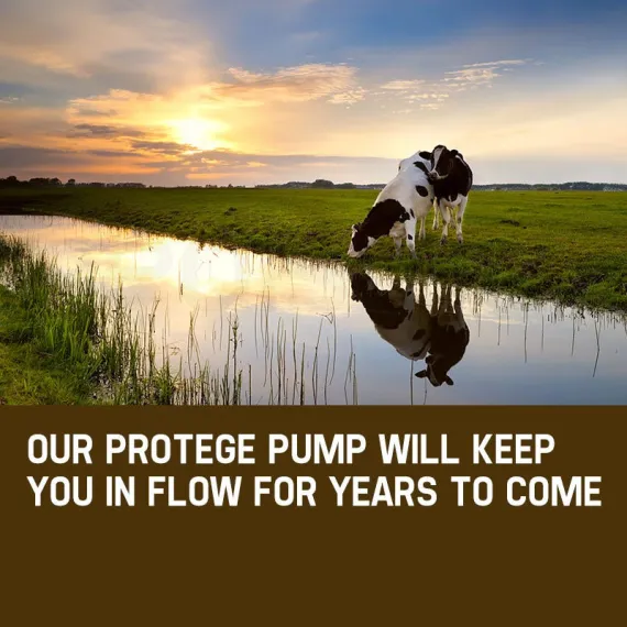 1HP Submersible Bore Water Pump Deep Well Irrigation Stainless Steel 240V image: 10