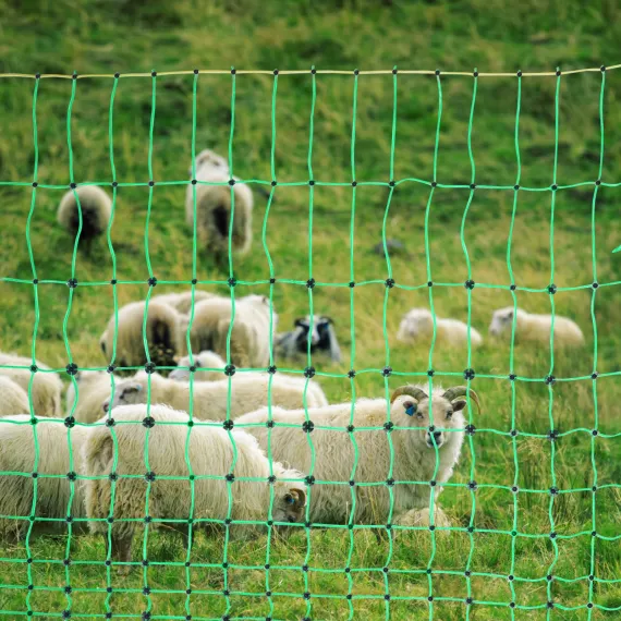 VEVOR Electric Fence Netting, 1.06 x 49.98 m, PE Net Fencing with Posts & Double-Spiked Stakes, Utility Portable Mesh for Goats, Sheep, Lambs, Deer, Hogs, Dogs, Used in Backyards, Farms, and Ranches image: 7
