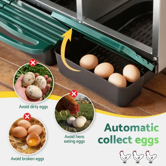 i.Pet Chicken Nesting Box Roll Away Metal Nesting Box Wall Mounted 6 Holes Green image: 5