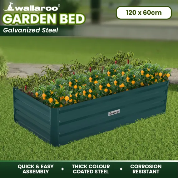 Wallaroo Garden Bed 120 x 60 x 30cm Galvanized Steel - Green image: 8