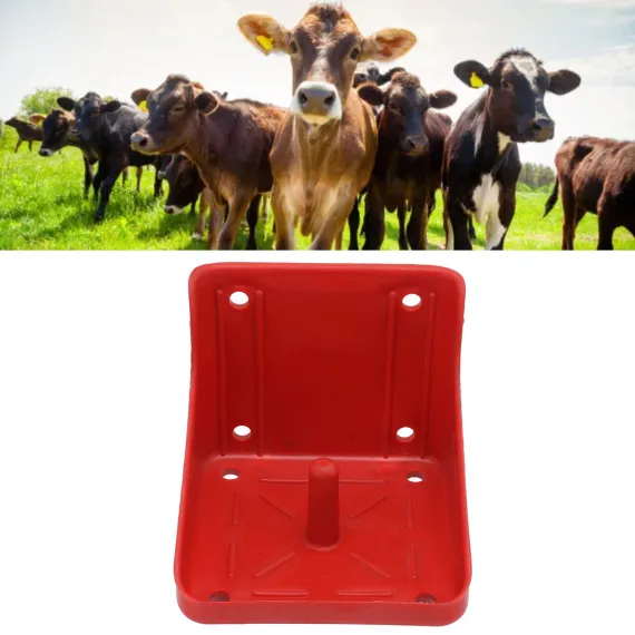 Salt Lick Holder image: 11