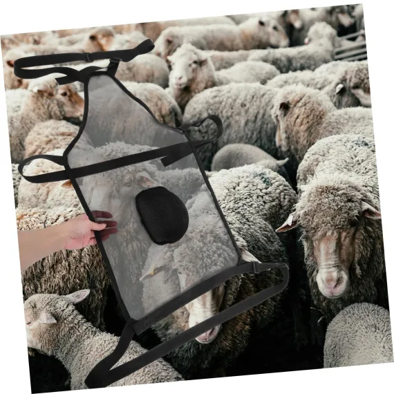 Anti Breeding Skirt for Goats and Sheep x 2 image: 4