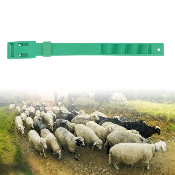 10Pcs Goat Collar Sheep Identification Bands Livestock Marking Ring Farming Equipment 36cm Green image: 11