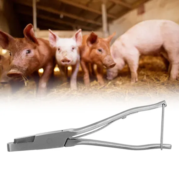 Pig Ear Tag Pliers U Shape Stainless Steel Animal Ear Notcher for Farm Livestock Equipment image: 10