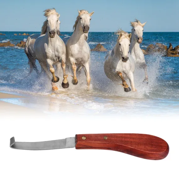 Hoof Knife - Left Handed image: 11