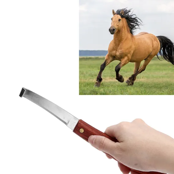 Hoof Knife - Right Handed image: 10