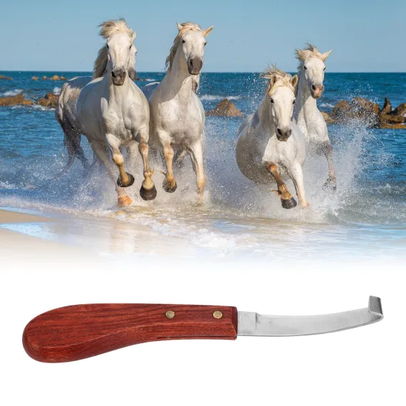 Hoof Knife - Right Handed image: 11
