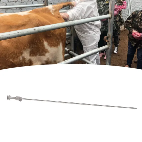 Insemination Needle for Cows image: 10