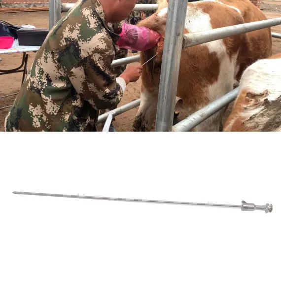 Insemination Needle for Cows image: 11