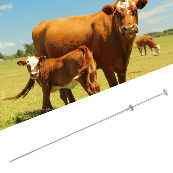 Cow Inseminating Rod 304 Stainless Steel Artificial Animal Breeding Tool 0.25ML 0.5ML Universal image: 10