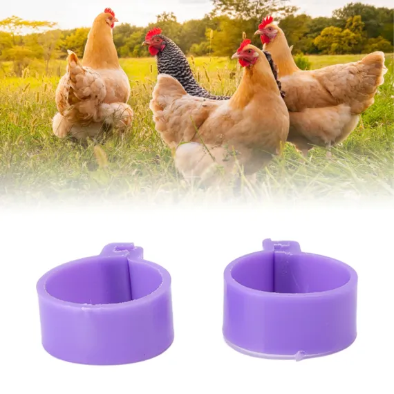 Chicken and Poultry Rings Clip - 16mm/0.63in image: 10