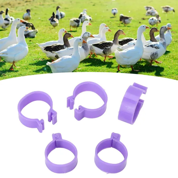 Chicken and Poultry Rings Clip - 20mm/0.79in image: 9
