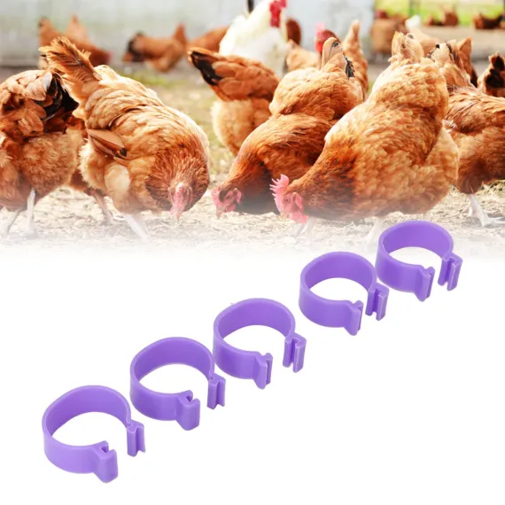 Chicken and Poultry Rings Clip - 20mm/0.79in image: 11