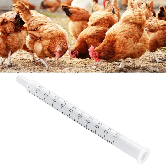 Chicken Artificial Insemination Tool Injection Syringe image: 10