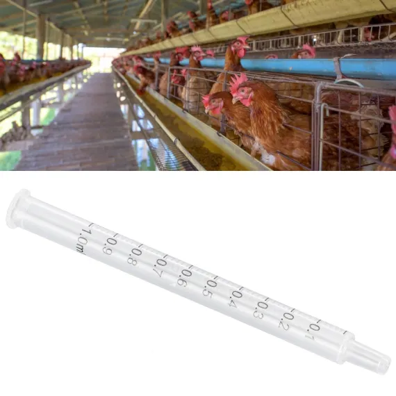 Chicken Artificial Insemination Tool Injection Syringe image: 11