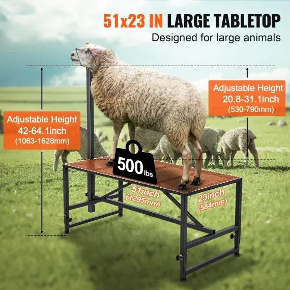 Goat & Sheep Stand, 51x23 inch Livestock Stand, Metal Livestock Milking and Shearing Stand 21" to 33" Adjustable Height, with Headpiece and Nose Loop, 500lbs Loading Weight, Black image: 3