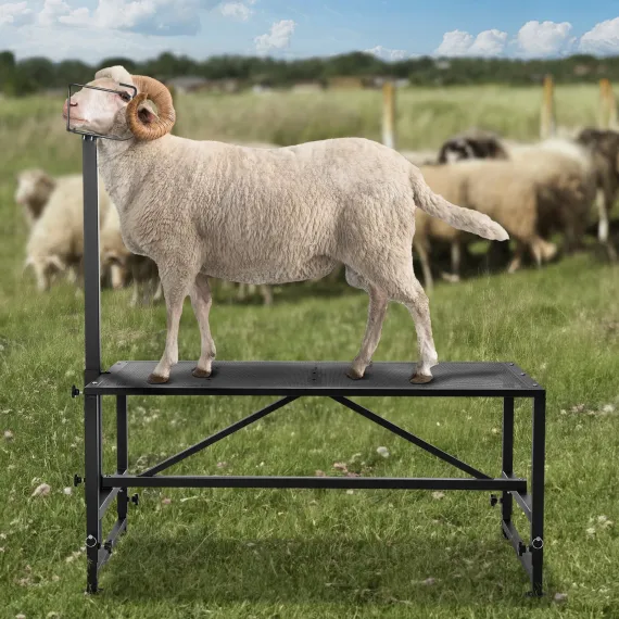 Goat & Sheep Stand, 51x23 inch Livestock Stand, Metal Livestock Milking and Shearing Stand 21" to 33" Adjustable Height, with Headpiece and Nose Loop, 500lbs Loading Weight, Black image: 7