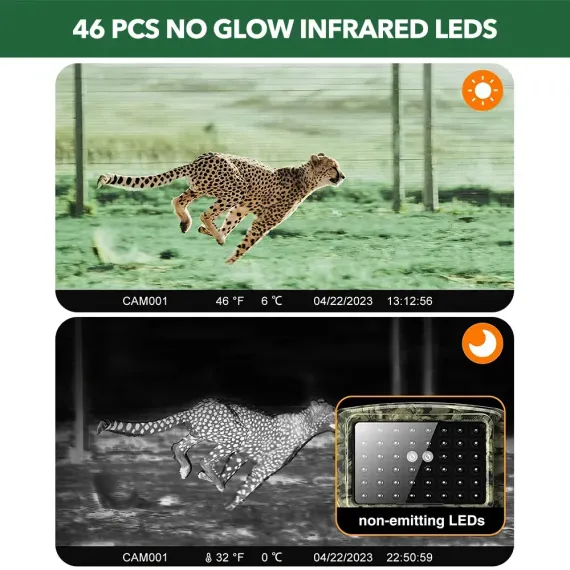 60MP 4K Green Trail Hunting Camera with WIFI Night Vision and IP66 Waterproof image: 3