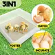 Rooster Farms Electric 112 Egg Incubator + Accessories for Chicken Quail Duck image: 8
