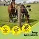 Giantz Electric Fence Ring Insulators 100pcs Stand off Screw in Insulator Black image: 3