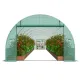 VEVOR Walk-in Tunnel Greenhouse 29.2x9.7x6.5ft Galvanized Frame PE Cover Green image: 10
