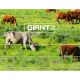 Giantz Electric Fence Poly Wire 2000M image: 5