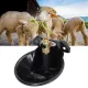 Sheep Water Bowl Stainless Steel Copper Valve Touch Switch Thickened Automatic Goats Drinking Waterer for Farm image: 10