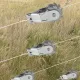 50 Pack Inline Cliplock Wire Strainer Aluminum Alloy Heavy Duty Wire Ratchet Tensioner for Electric Fence image: 5