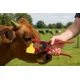 Livestock Ear Tag Applicator Tool – Heavy Duty Metal Tagging Pliers for Cattle, Goats, Sheep, and Farm Animal Identification（24cm,Give away a wrench and an ear tag nail） image: 4