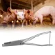 Pig Ear Tag Pliers U Shape Stainless Steel Animal Ear Notcher for Farm Livestock Equipment image: 10