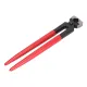 12in Hoof Trimmer image: 2