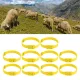 10PCS Goat Collar PU 23 Inch Adjustable Livestock Collar for Farm Animal Cow Horse Sheep Yellow image: 11