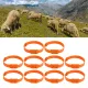 10PCS Goat Collar PU 23 Inch Adjustable Livestock Collar for Farm Animal Cow Horse Sheep Orange image: 11
