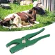 Green Ear Tag Plier Aluminum Alloy Livestock Ear Tag Applicator Portable Ear Notcher for Home Farm image: 10