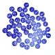 50PCS Numbered Label Numbered Tag for Farm Livestock Beekeeping Husbandry Breeding Supplies1-50 Blue image: 2