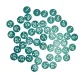 50PCS Numbered Label Numbered Tag for Farm Livestock Beekeeping Husbandry Breeding Supplies1-50 Green image: 2