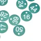 50PCS Numbered Label Numbered Tag for Farm Livestock Beekeeping Husbandry Breeding Supplies1-50 Green image: 14