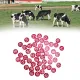 50PCS Numbered Label Numbered Tag for Farm Livestock Beekeeping Husbandry Breeding Supplies51-100 Red image: 10
