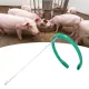 Pig Insemination Adjustable Size Unique Shape Naturally Tighten Artificial Insemination Kit image: 11