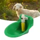 Automatic Livestock Water Bowl image: 10