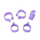 Chicken and Poultry Rings Clip - 20mm/0.79in image: 6