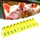 No.001‑100 Farm Pig Ear Tag Livestock Ear Tag Labels Set Poultry Breeding Supplies image: 8