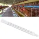 Chicken Artificial Insemination Tool Injection Syringe image: 11