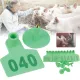 Livestock Ear Tags 6x7cm - Numbered 1-100 - Green image: 4
